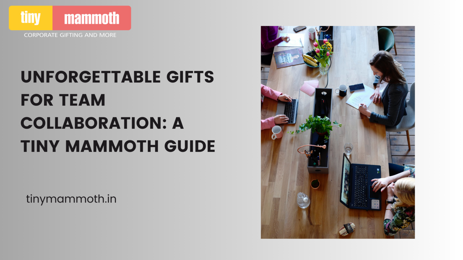 Corporate gift supplier in bangalore - Tiny Mammoth